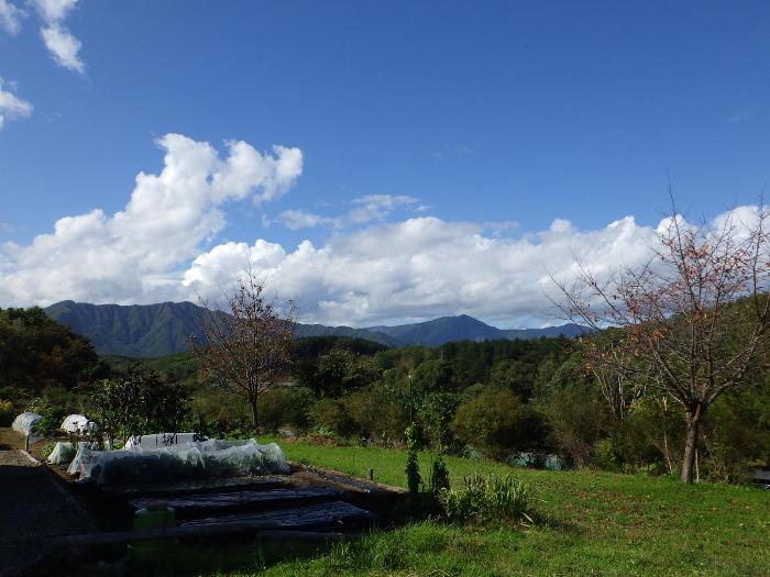 風景