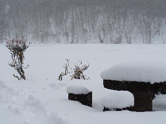 観音沼森林公園