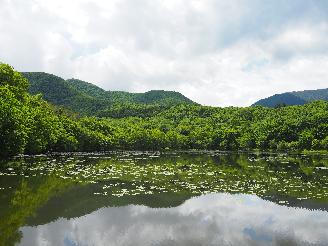 観音沼森林公園