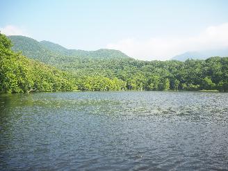 観音沼森林公園