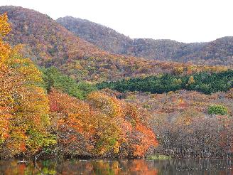 観音沼森林公園