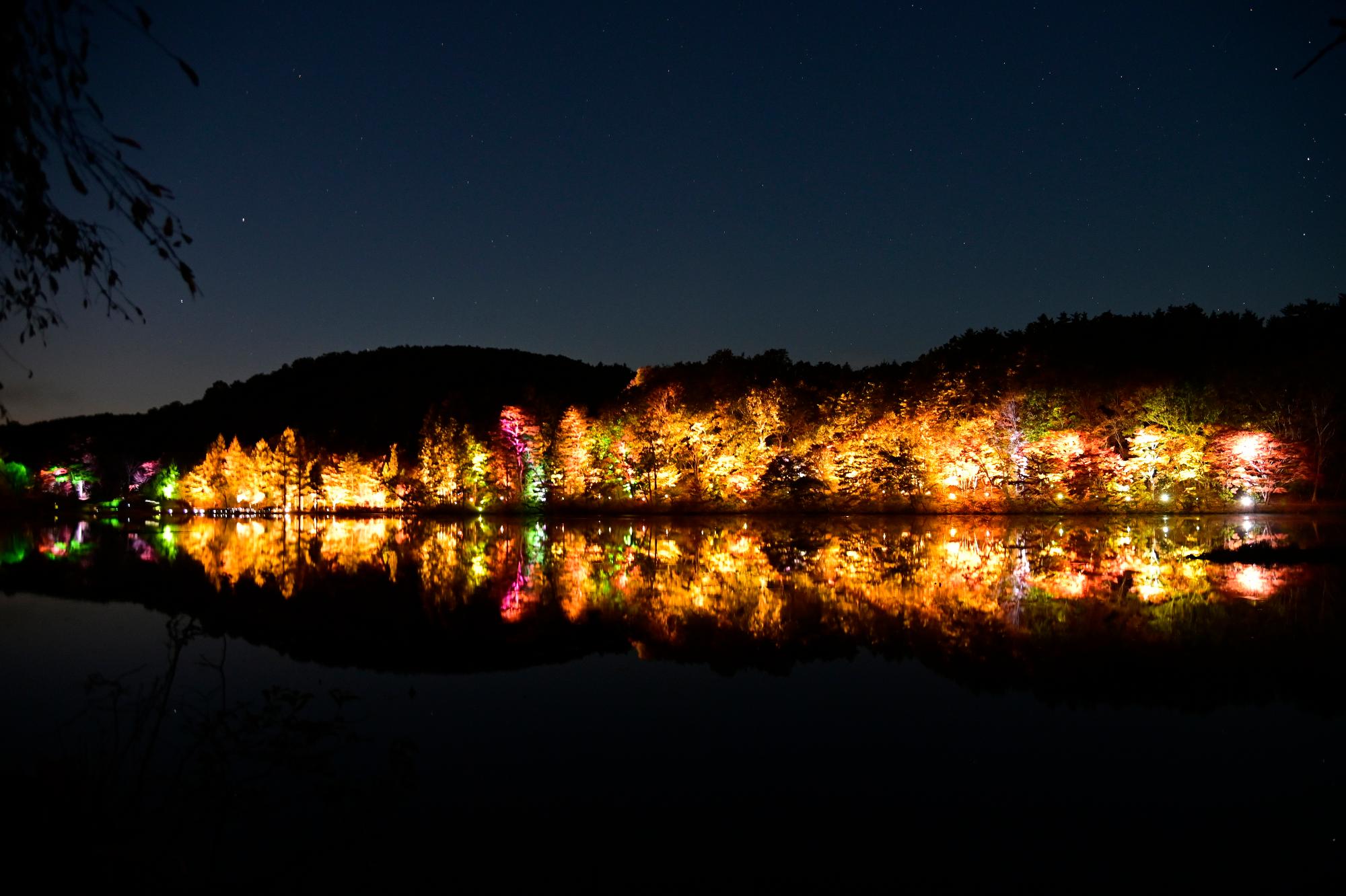 kannnonnnuma_LightUp