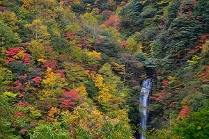 日暮の滝（秋）