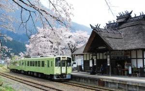茅葺きの湯野上温泉駅の脇に桜が咲いていてホームには黄緑色の電車が停まっている写真