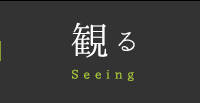 観る Seeing