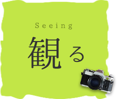 観る Seeing